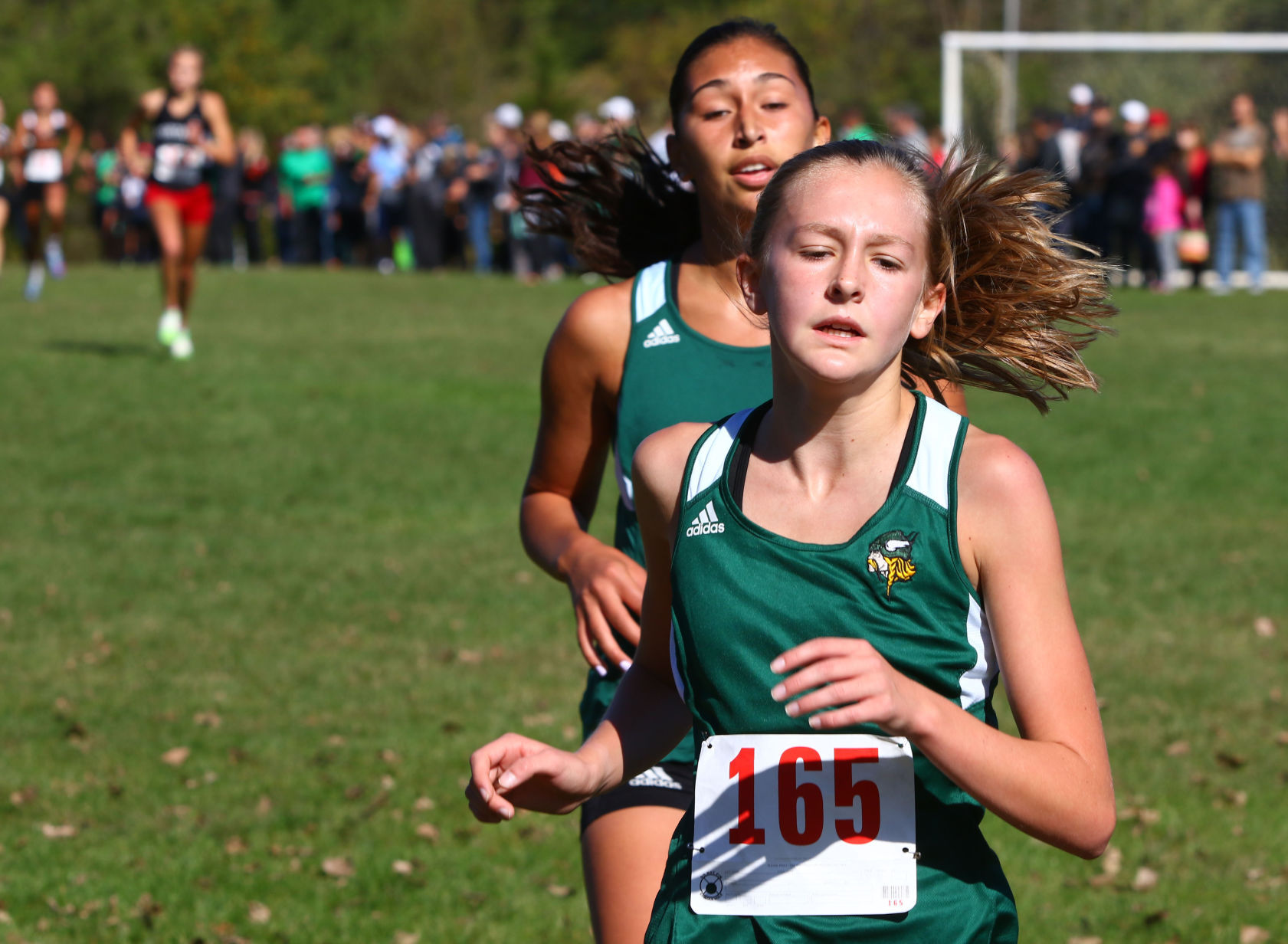 Gallery: Duneland Athletic Conference cross country meet